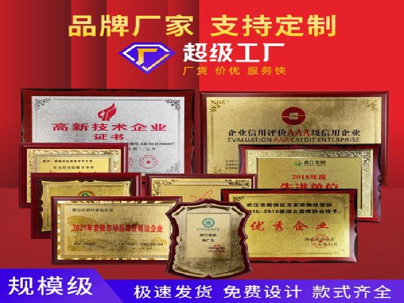 证件遗失补办替代